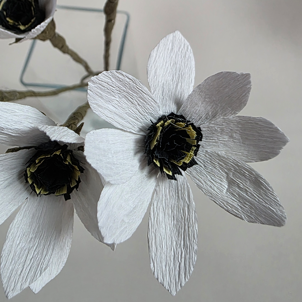 Anemone Crepe – Rustic Collection