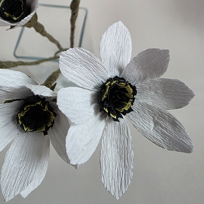 Anemone Crepe – Rustic Collection