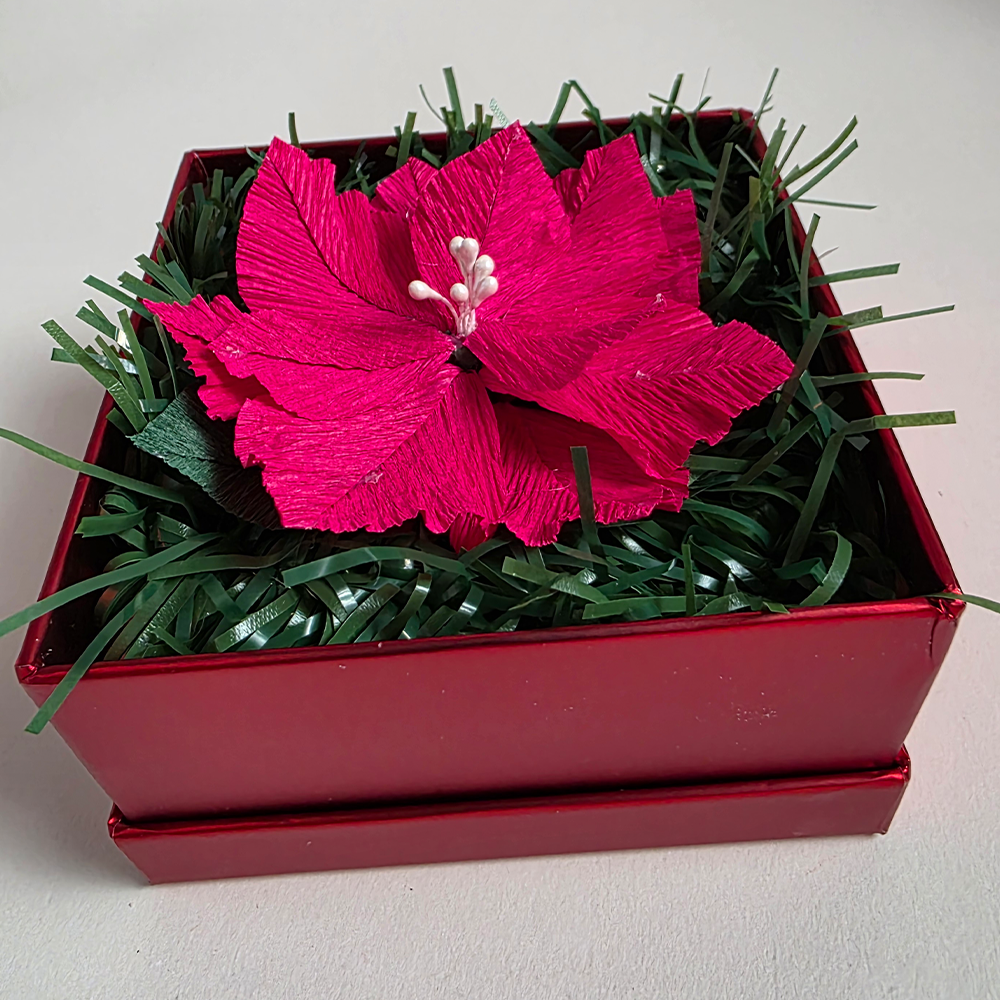 Red Poinsettia in Red Luxury Box — Handmade Christmas Gift