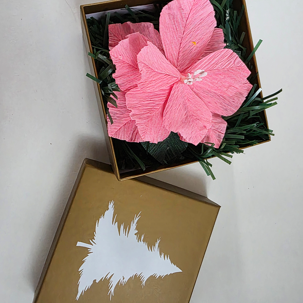 Soft Pink Christmas Poinsettia – Mini Gift Box Arrangement