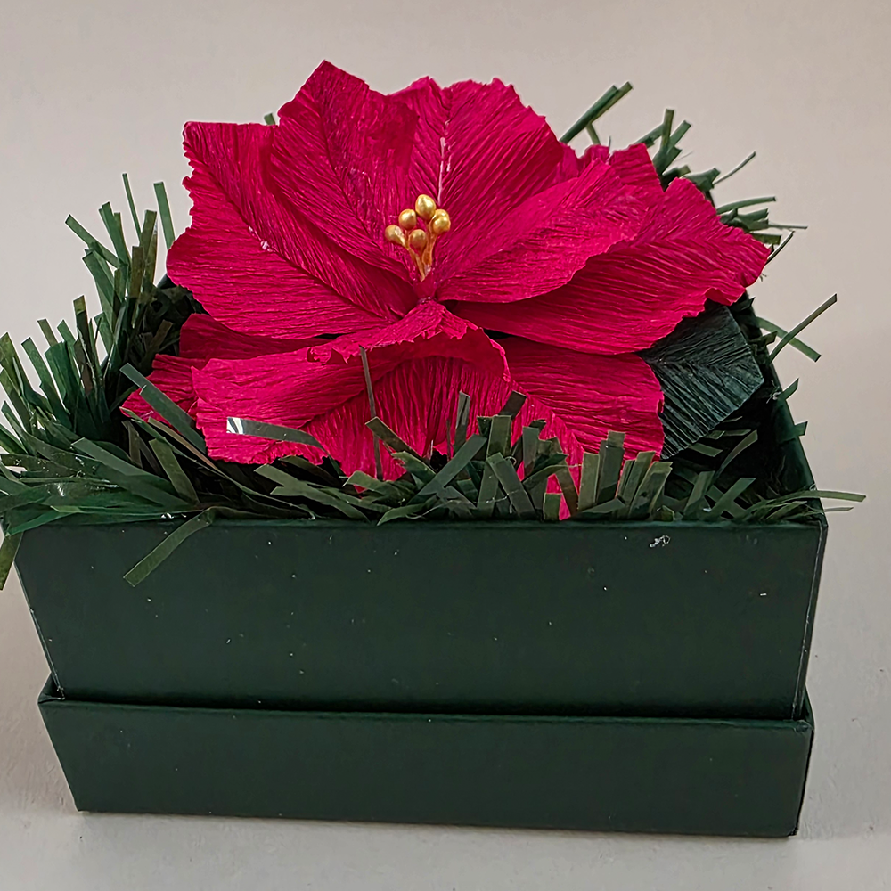 Red Poinsettia in Dark Green Christmas Box — Handmade Festive Gift