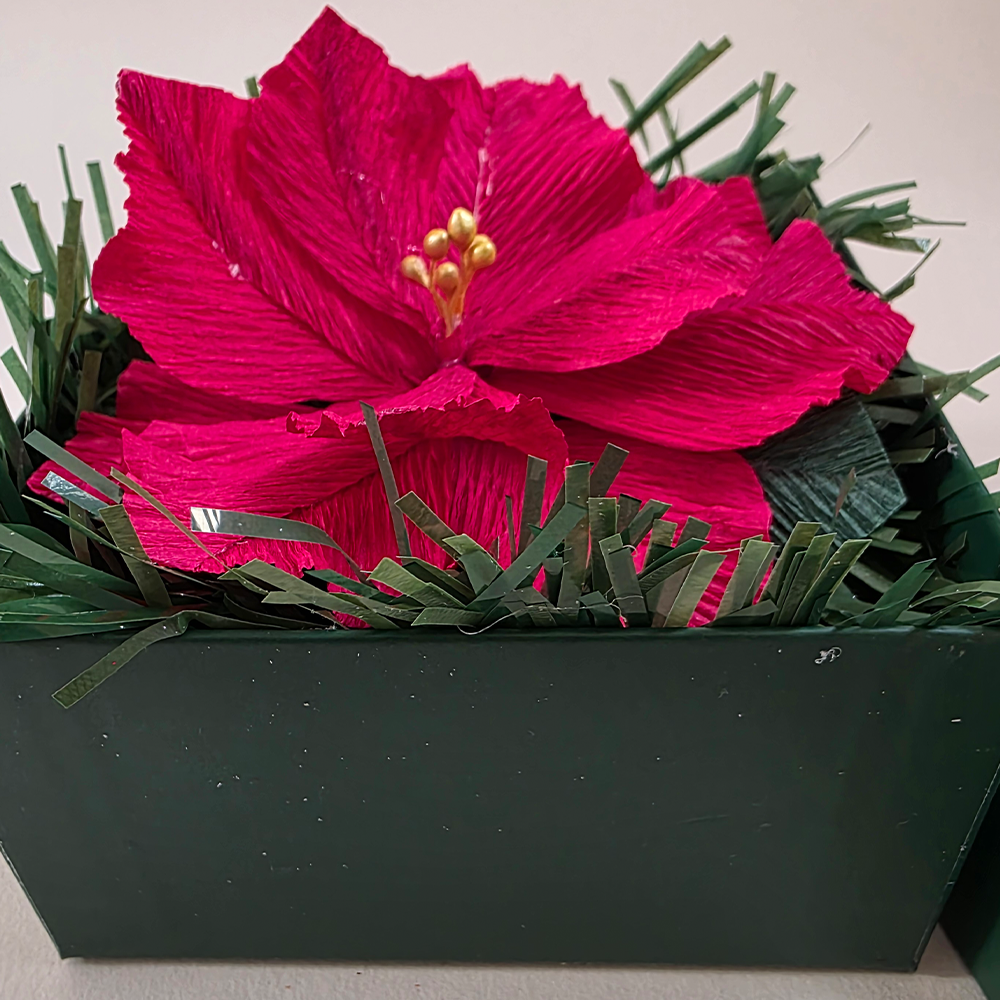 Red Poinsettia in Dark Green Christmas Box — Handmade Festive Gift