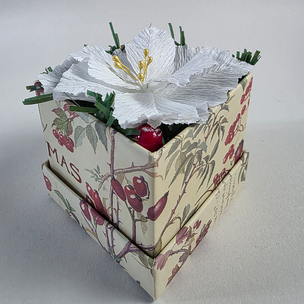 White Poinsettia Mini Christmas Box