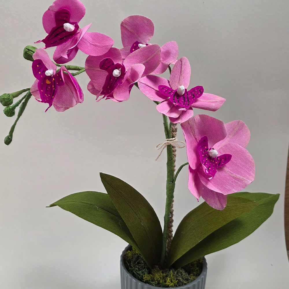 Pink Orchid in Ceramic Pot – Handmade Doublette Paper Flower