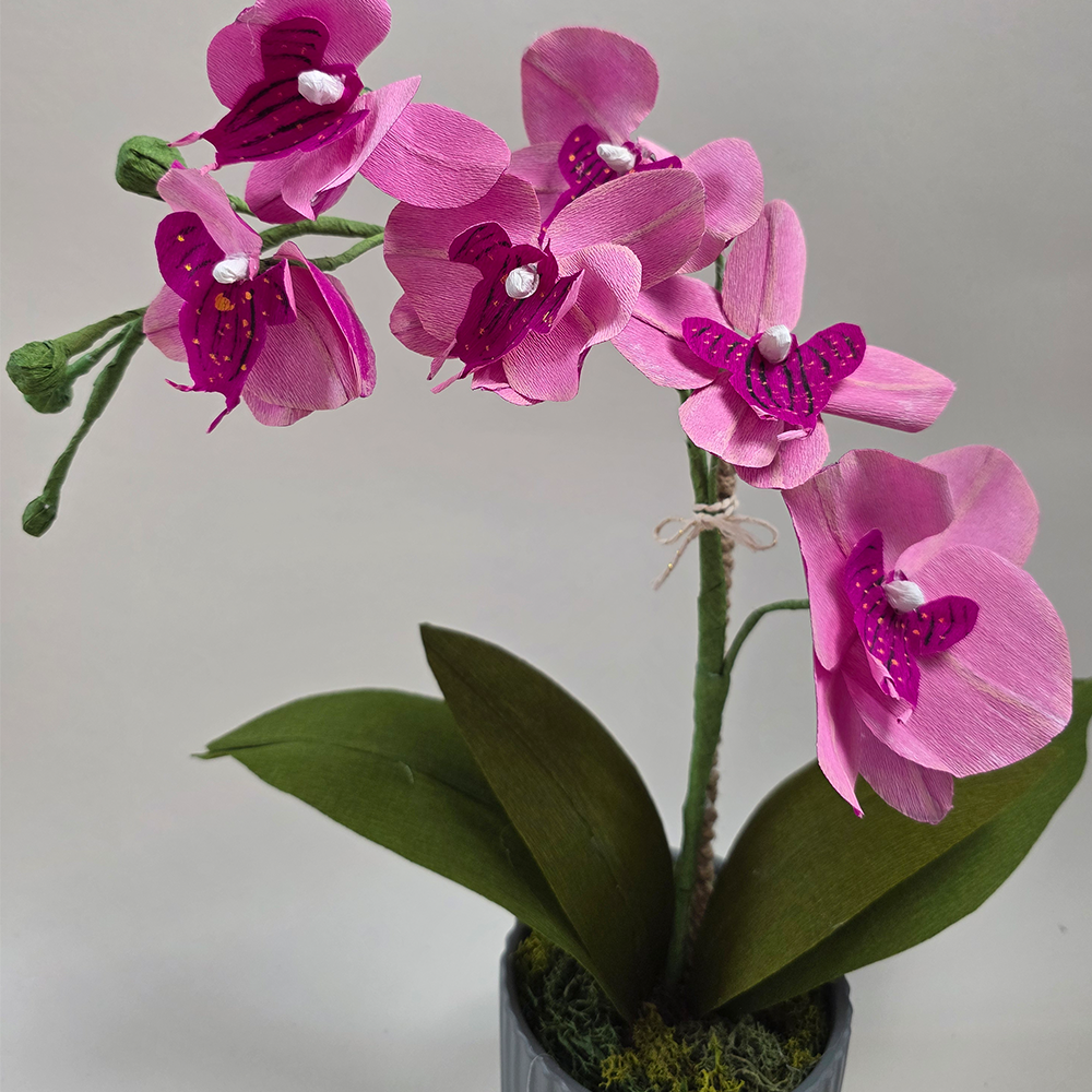 Pink Orchid in Ceramic Pot – Handmade Doublette Paper Flower