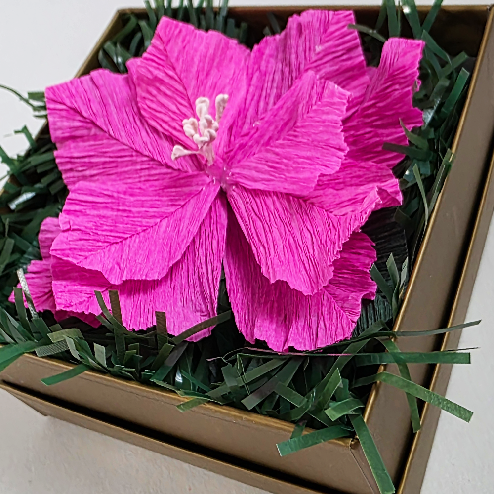 Pink Christmas Poinsettia – Mini Gift Box Arrangement