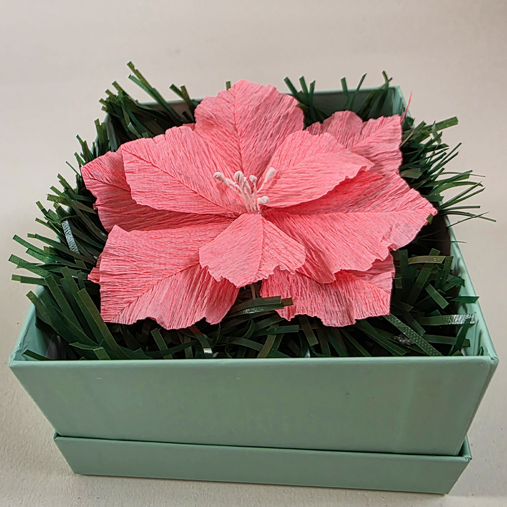Pink Poinsettia in Mint Star Gift Box — Handmade Christmas Keepsake