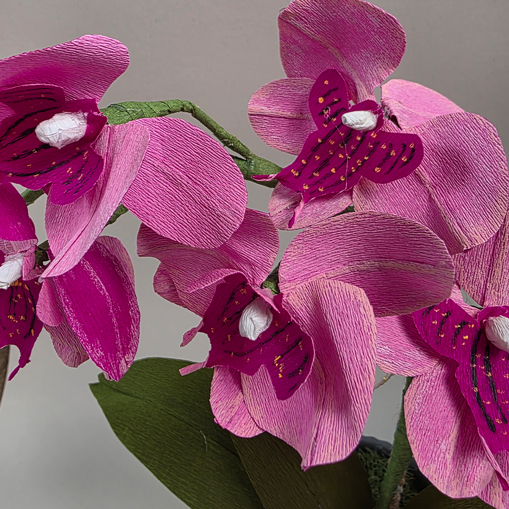 Pink Orchid in Ceramic Pot – Handmade Doublette Paper Flower