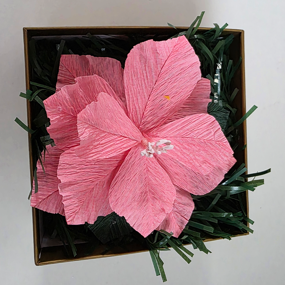 Soft Pink Christmas Poinsettia – Mini Gift Box Arrangement