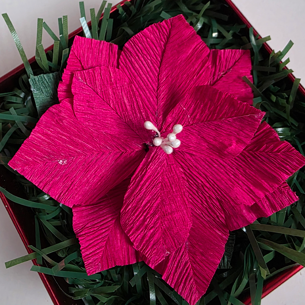 Red Poinsettia in Red Luxury Box — Handmade Christmas Gift