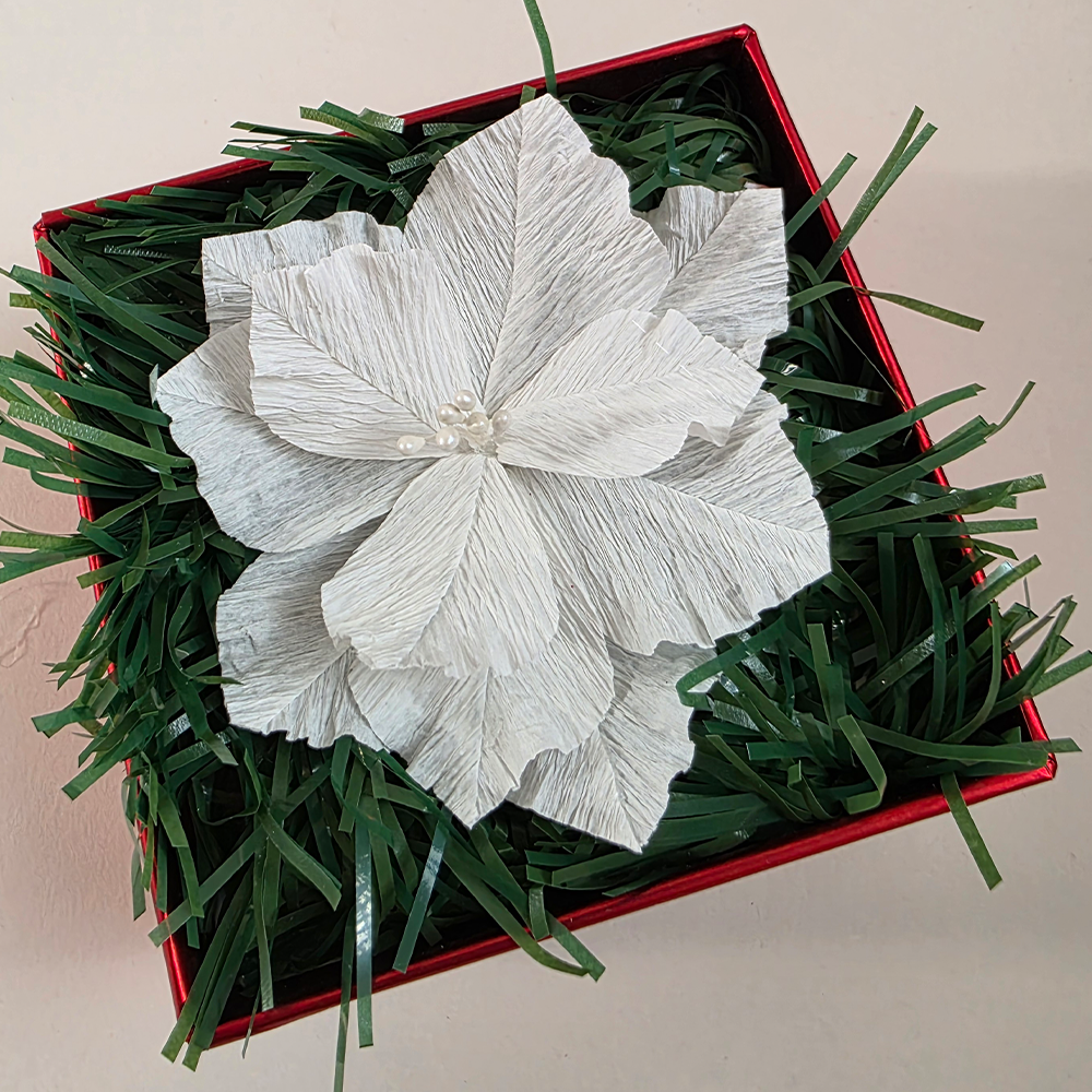 Christmas Poinsettia – Mini Gift Box Arrangement