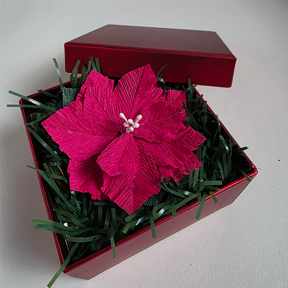 Red Poinsettia in Red Luxury Box — Handmade Christmas Gift