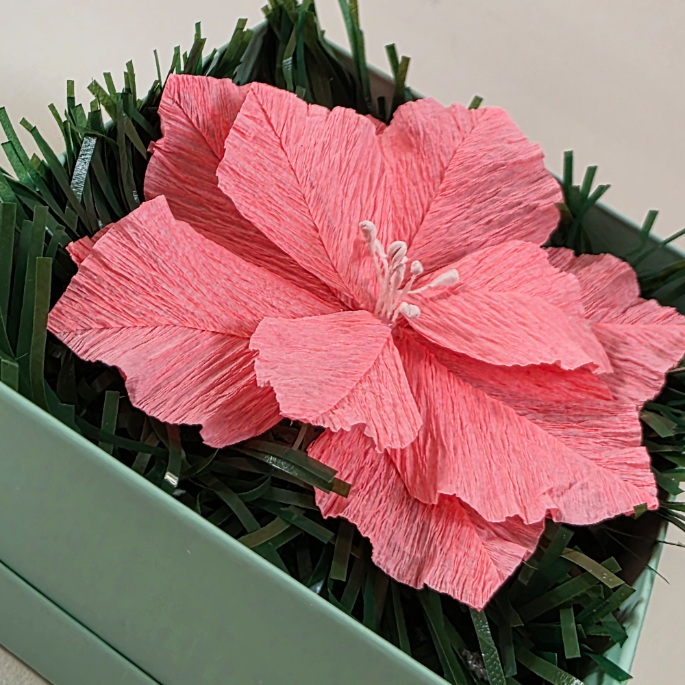Pink Poinsettia in Mint Star Gift Box — Handmade Christmas Keepsake