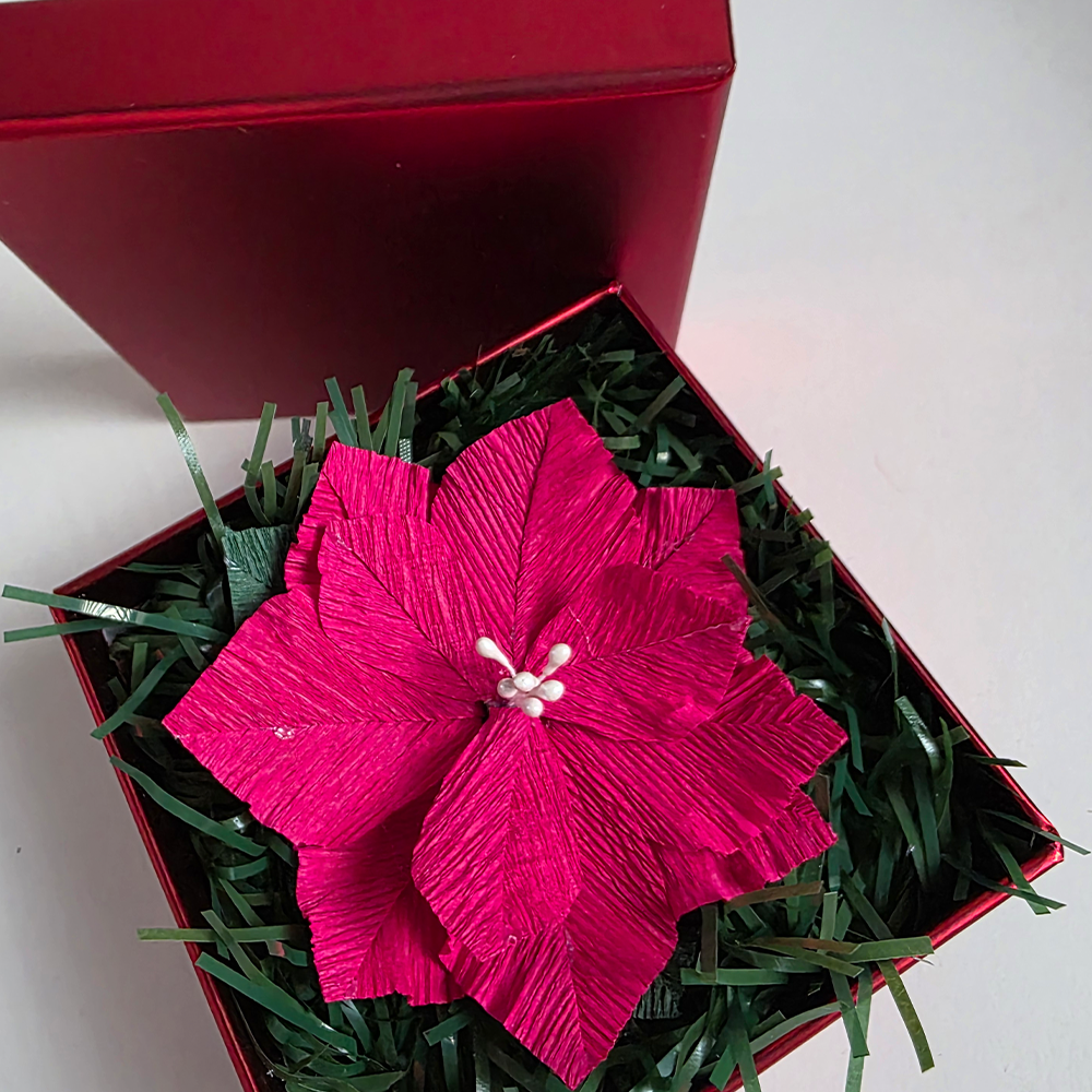 Red Poinsettia in Red Luxury Box — Handmade Christmas Gift
