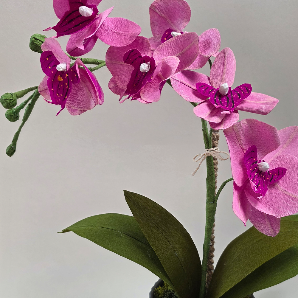 Pink Orchid in Ceramic Pot – Handmade Doublette Paper Flower