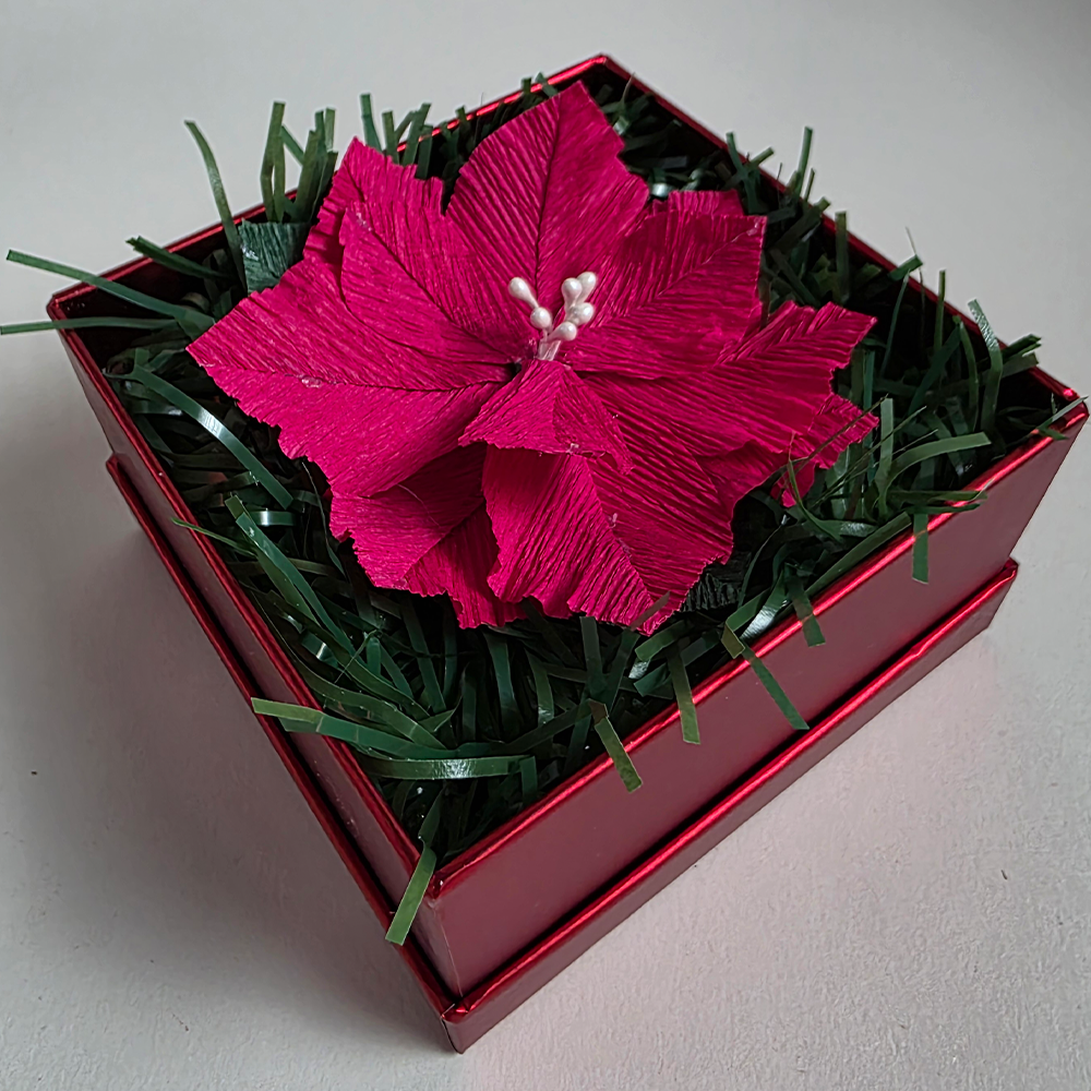 Red Poinsettia in Red Luxury Box — Handmade Christmas Gift