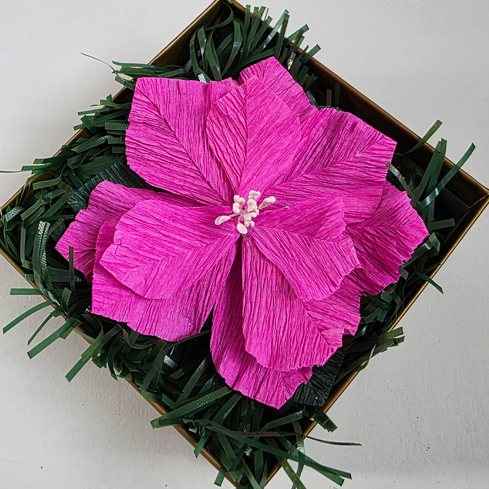 Pink Christmas Poinsettia – Mini Gift Box Arrangement