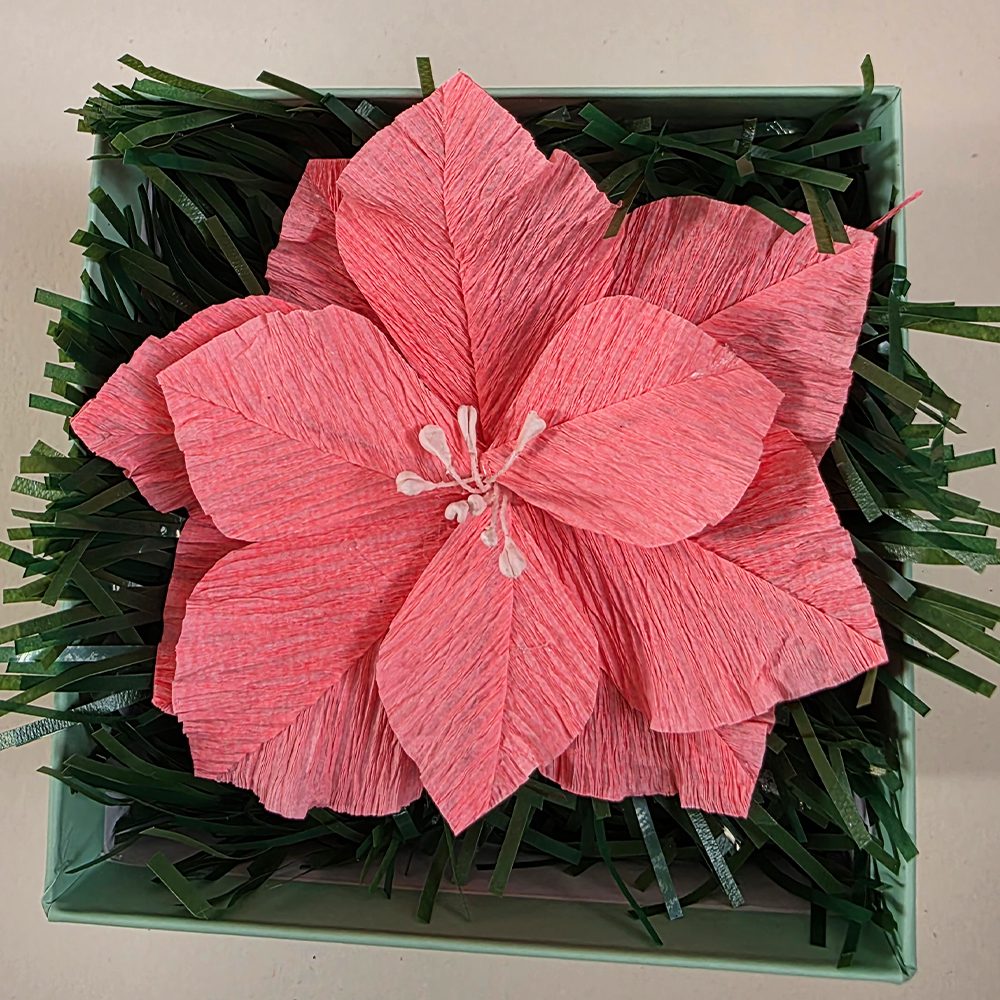 Pink Poinsettia in Mint Star Gift Box — Handmade Christmas Keepsake
