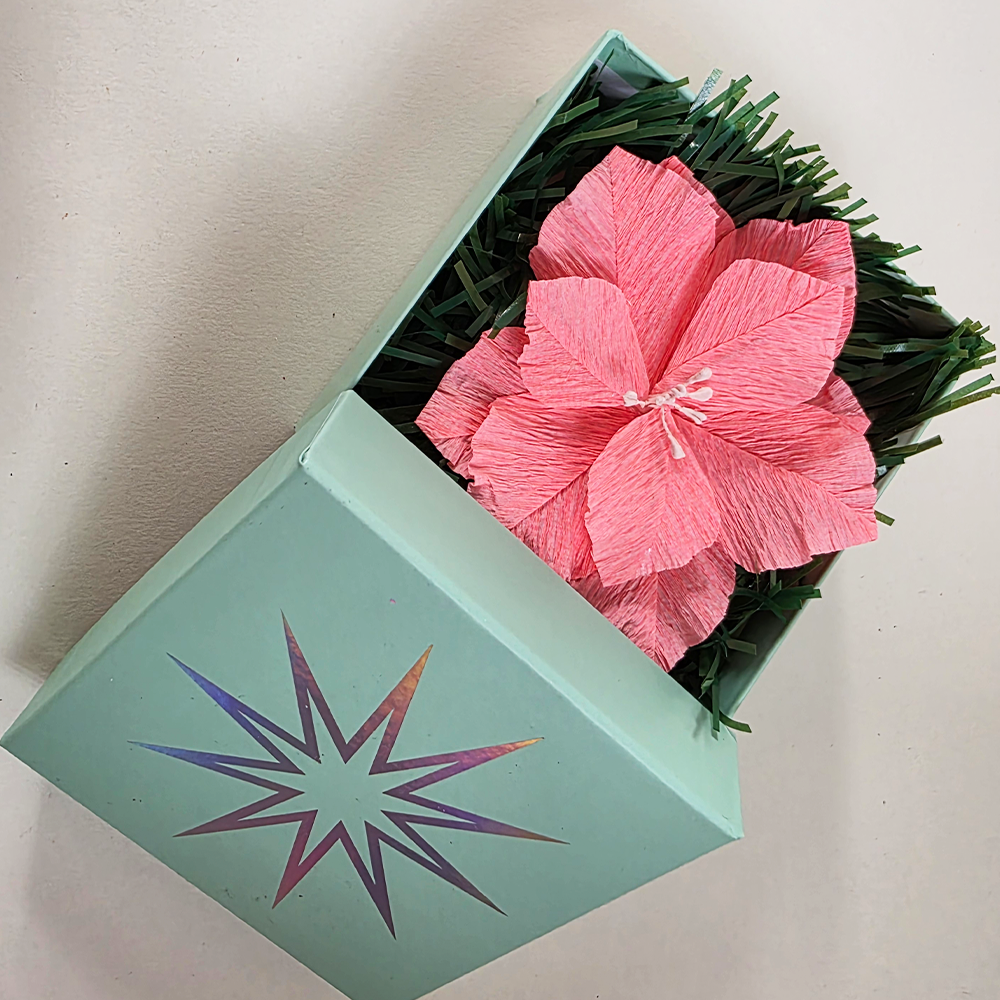 Pink Poinsettia in Mint Star Gift Box — Handmade Christmas Keepsake