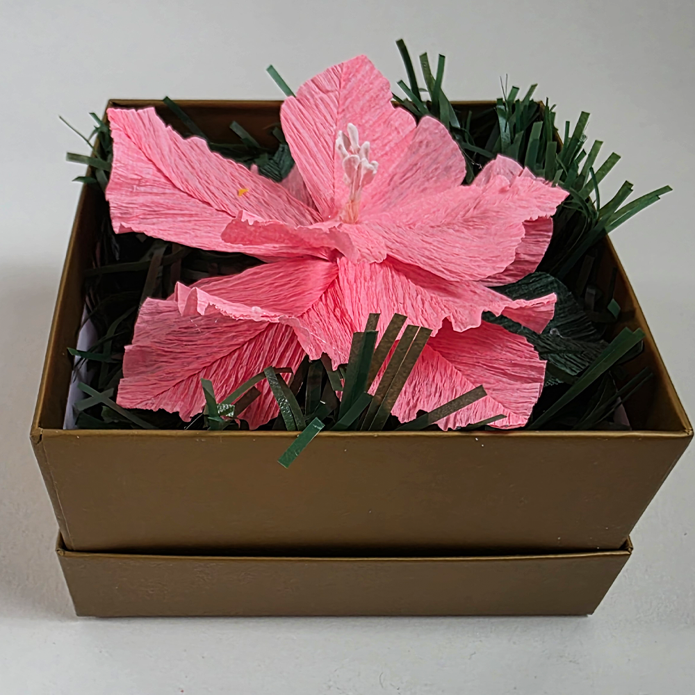 Soft Pink Christmas Poinsettia – Mini Gift Box Arrangement