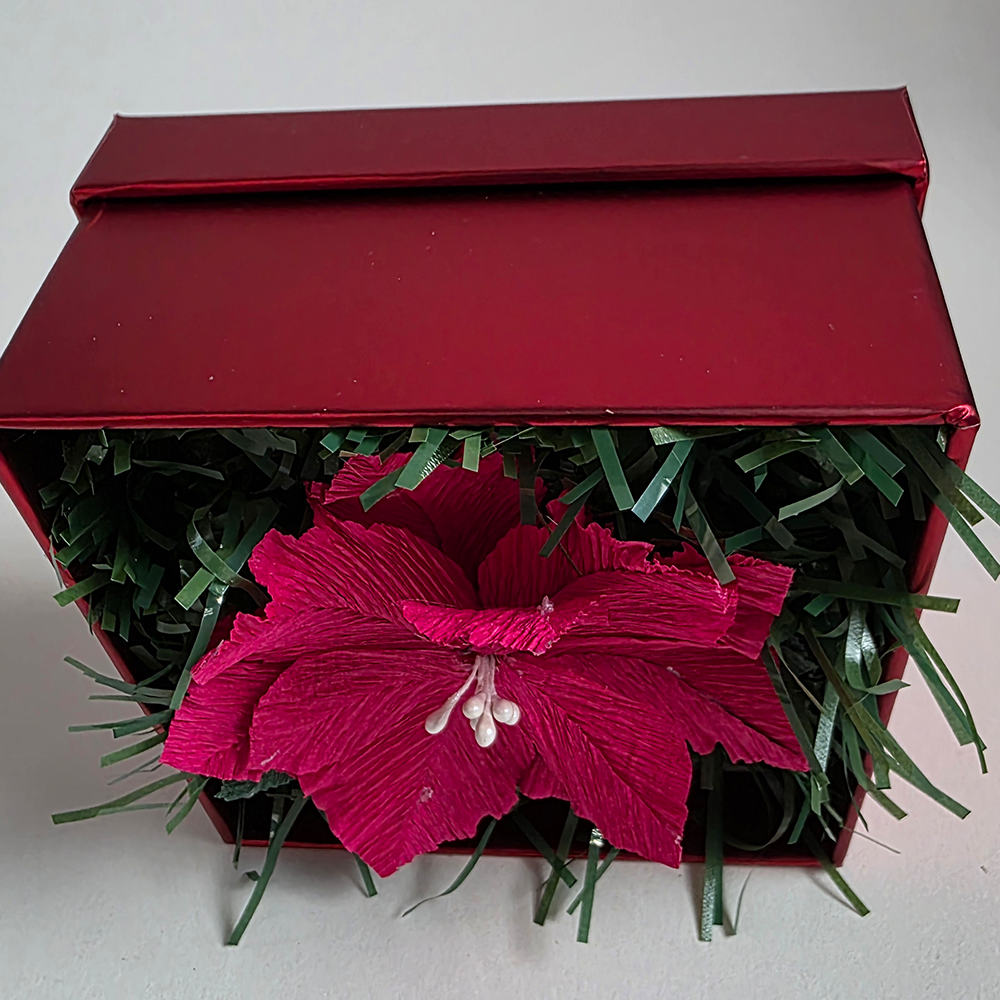 Red Poinsettia in Red Luxury Box — Handmade Christmas Gift