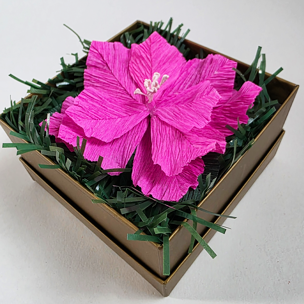 Pink Christmas Poinsettia – Mini Gift Box Arrangement