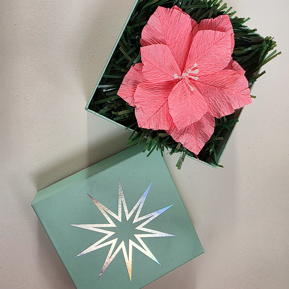 Pink Poinsettia in Mint Star Gift Box — Handmade Christmas Keepsake