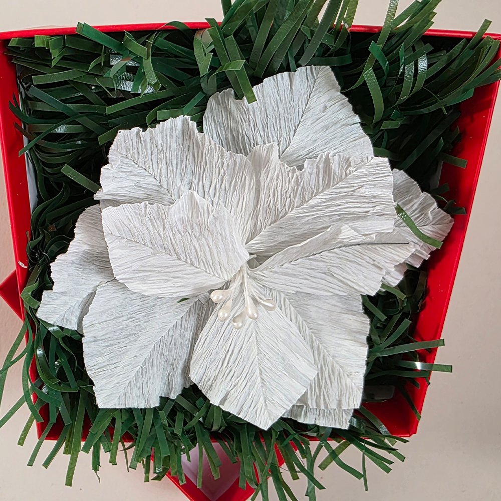 White Christmas Poinsettia Gift Box – Handmade Crepe Paper Flower