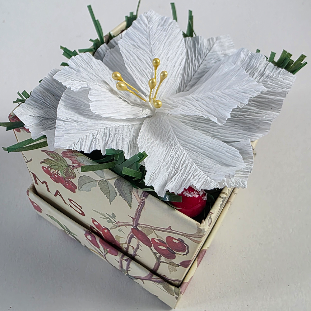 White Poinsettia Mini Christmas Box