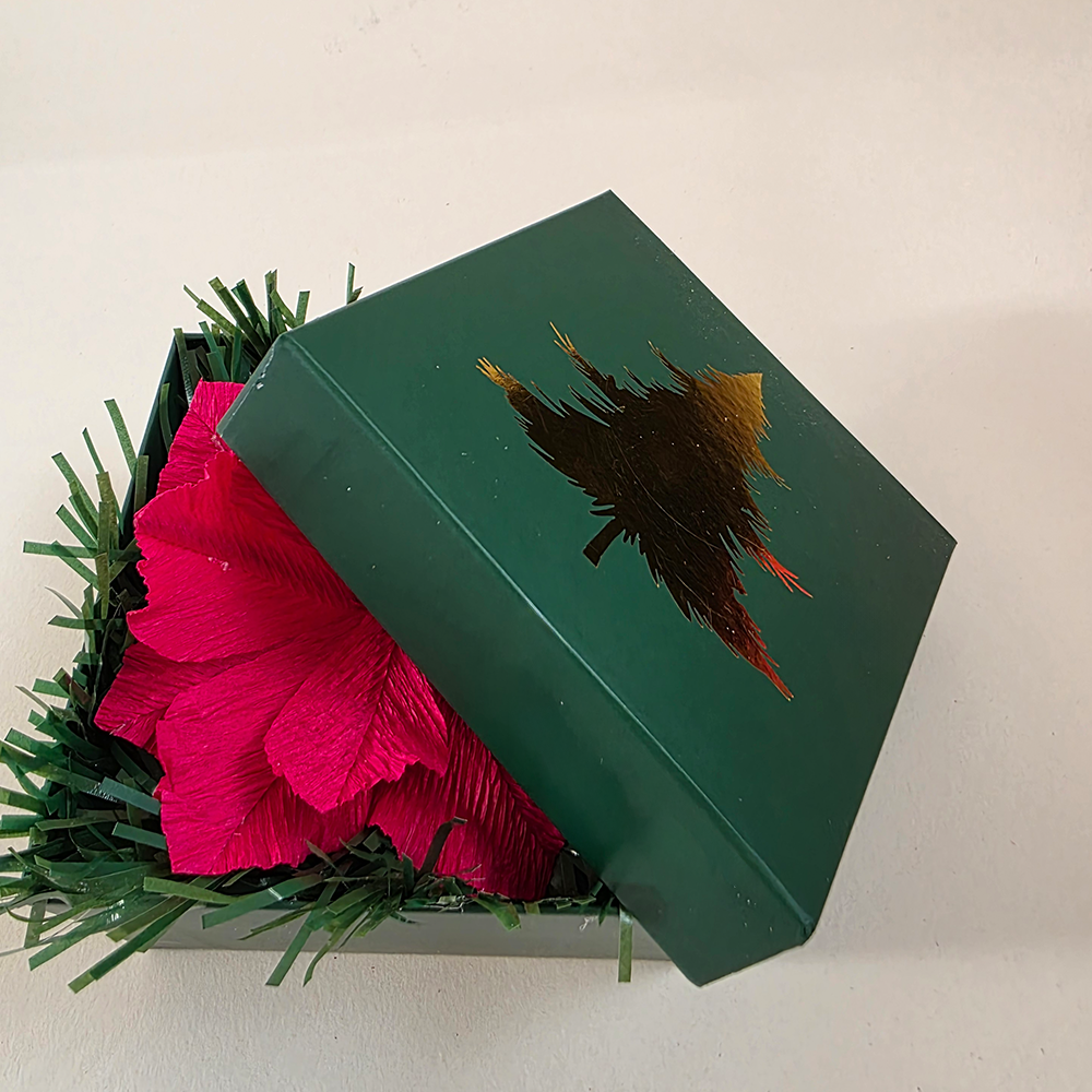 Red Poinsettia in Dark Green Christmas Box — Handmade Festive Gift