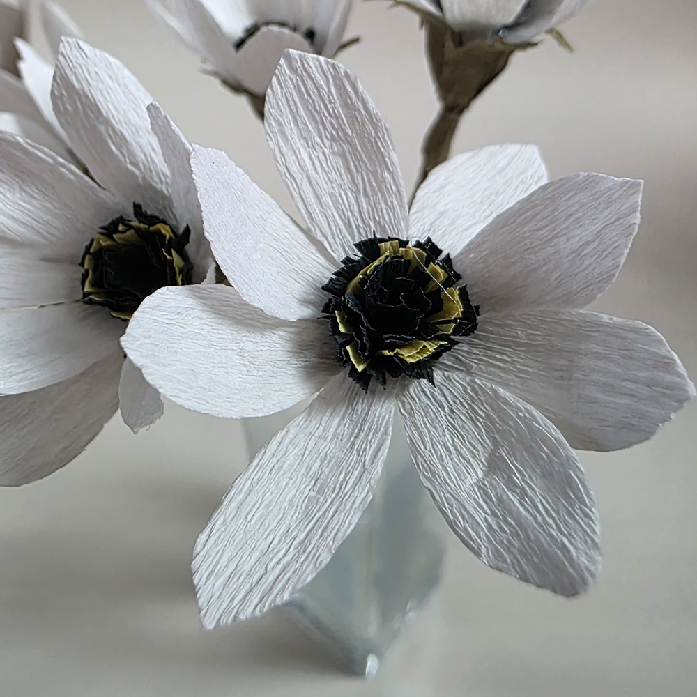 Anemone Crepe – Rustic Collection