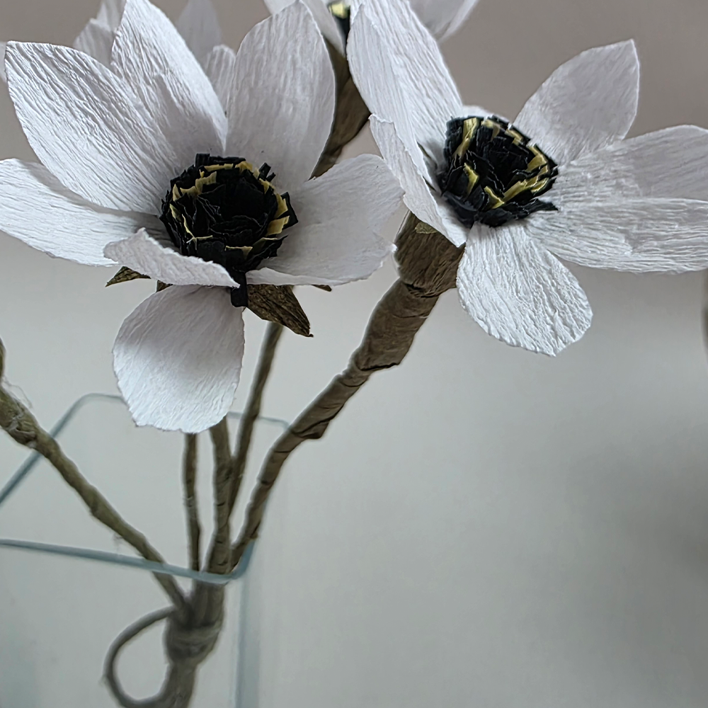 Anemone Crepe – Rustic Collection