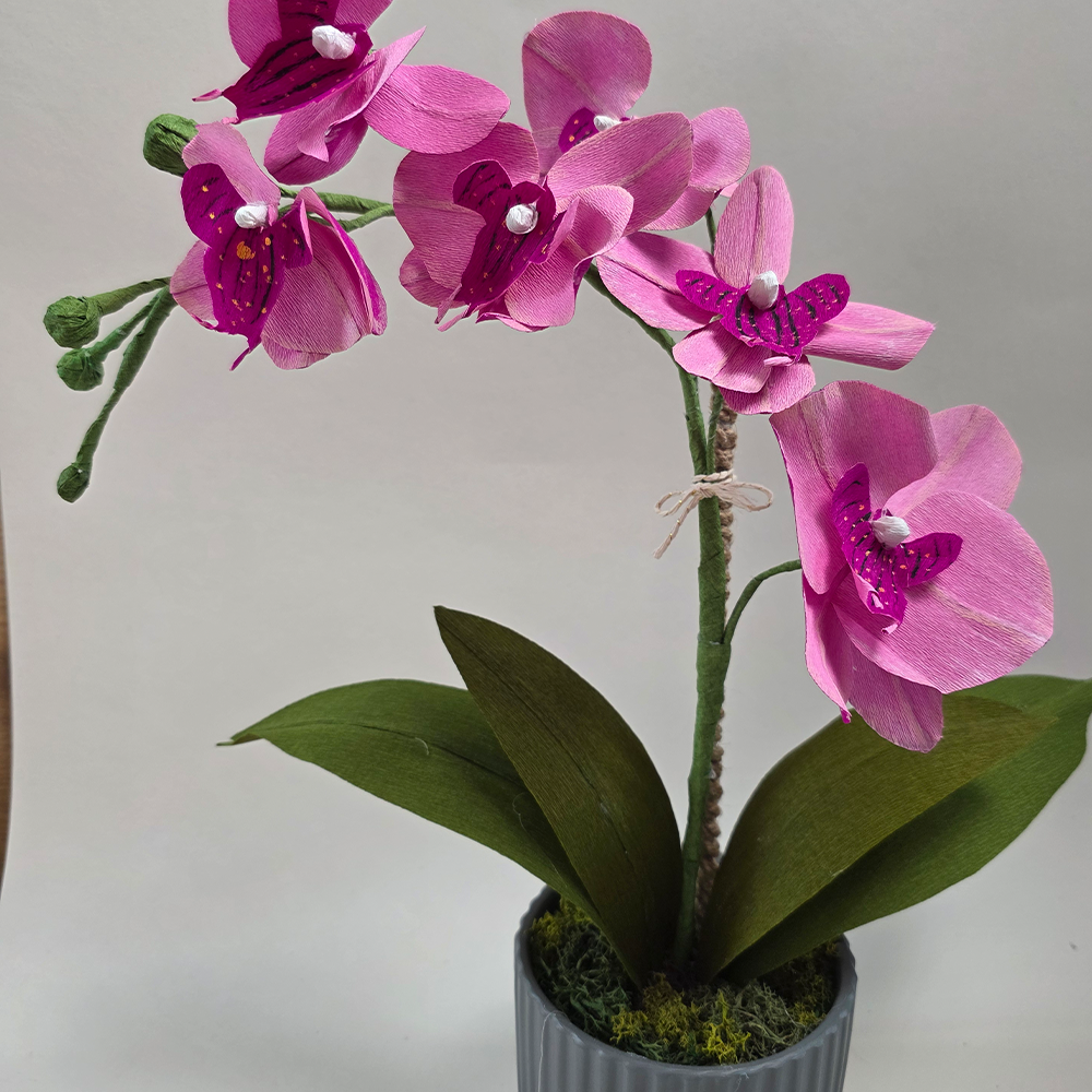 Pink Orchid in Ceramic Pot – Handmade Doublette Paper Flower