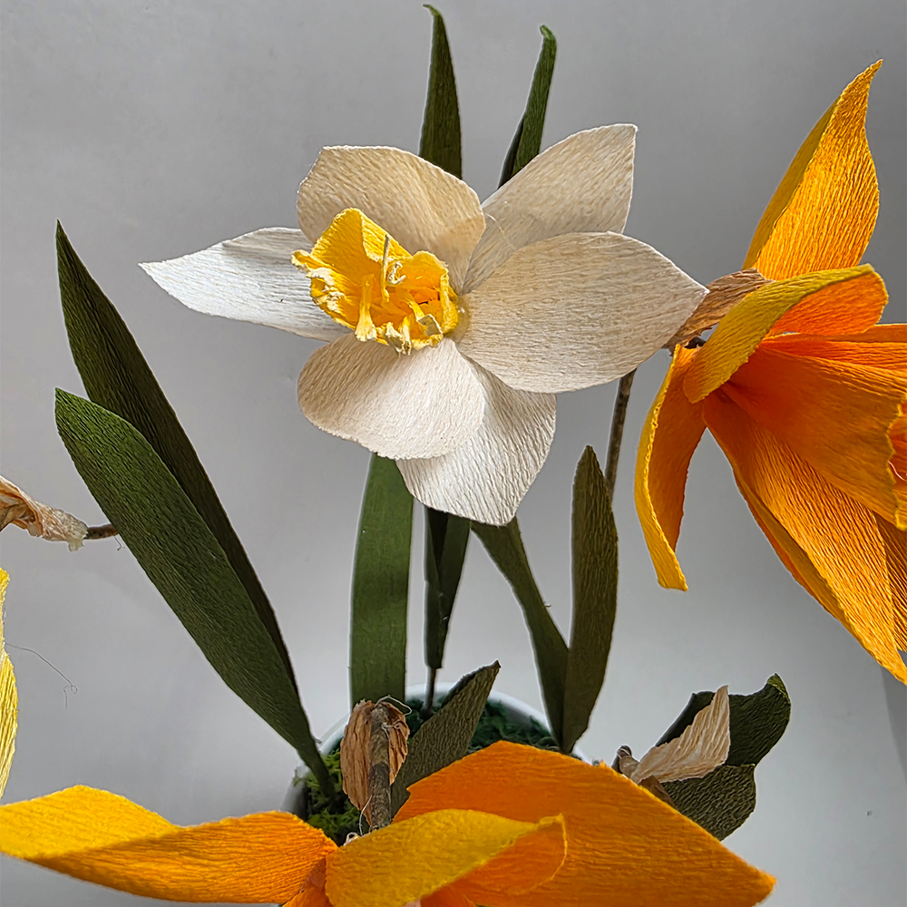 Handmade Paper Daffodils in Ceramic Pot