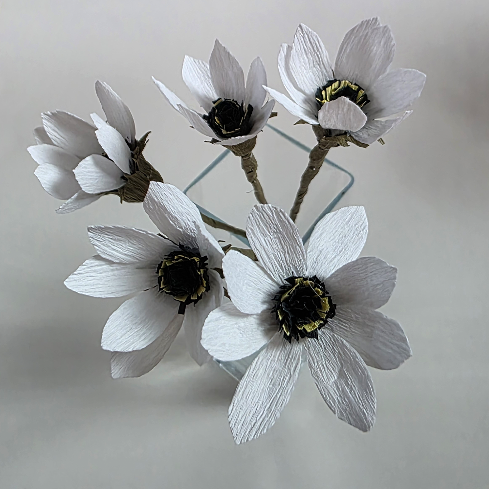 Anemone Crepe – Rustic Collection