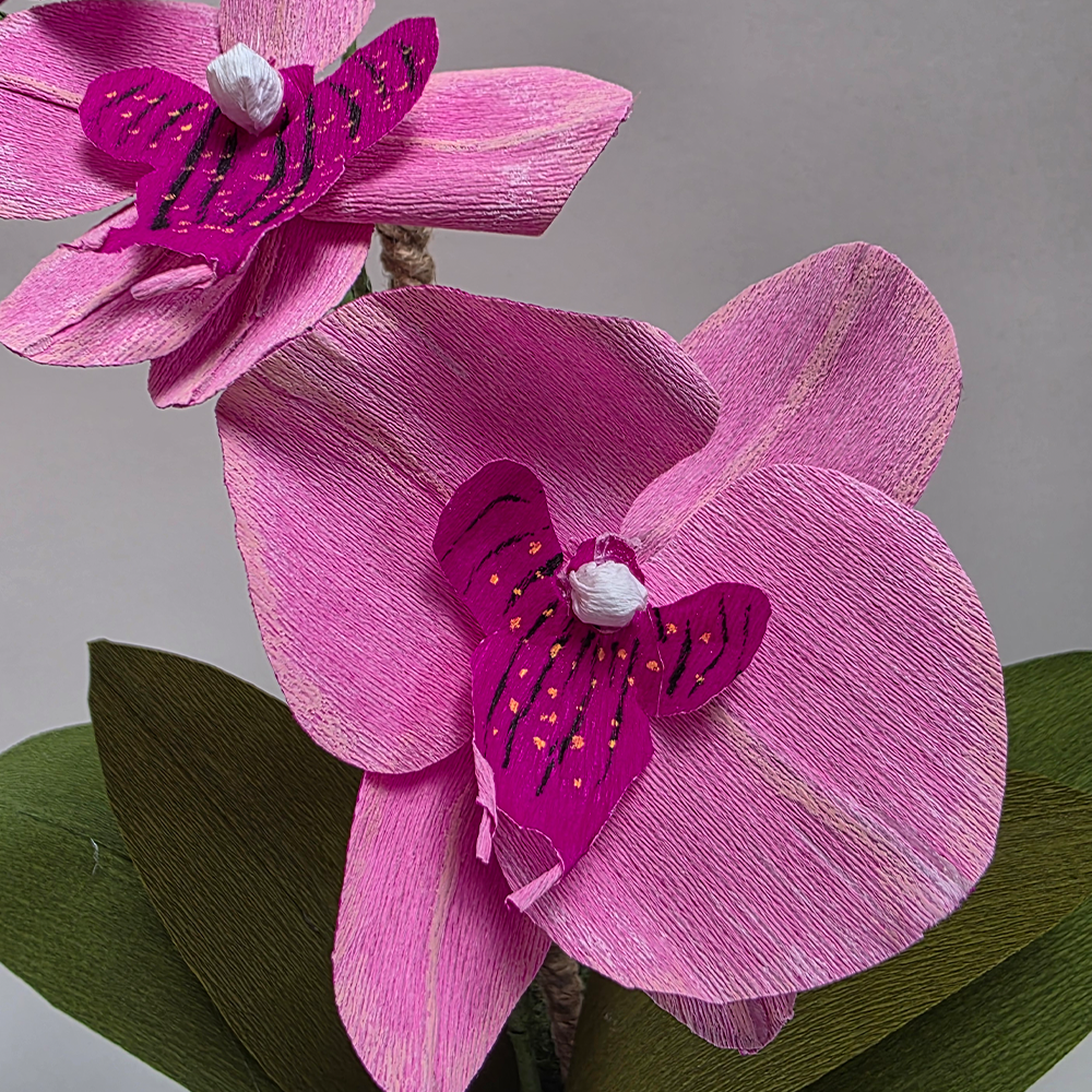 Pink Orchid in Ceramic Pot – Handmade Doublette Paper Flower