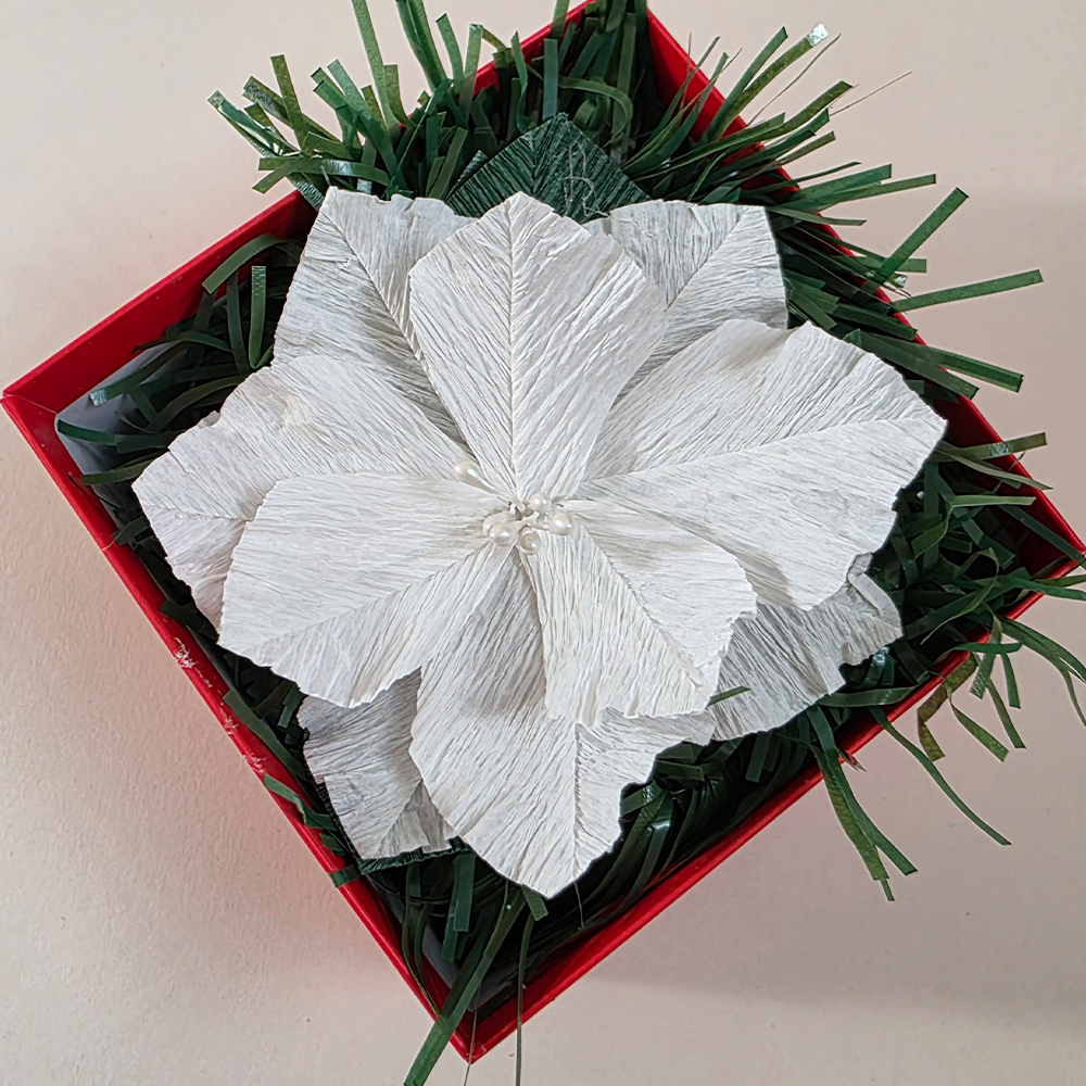 Merry &amp; Bright Mini Floral Gift Box – White Poinsettia