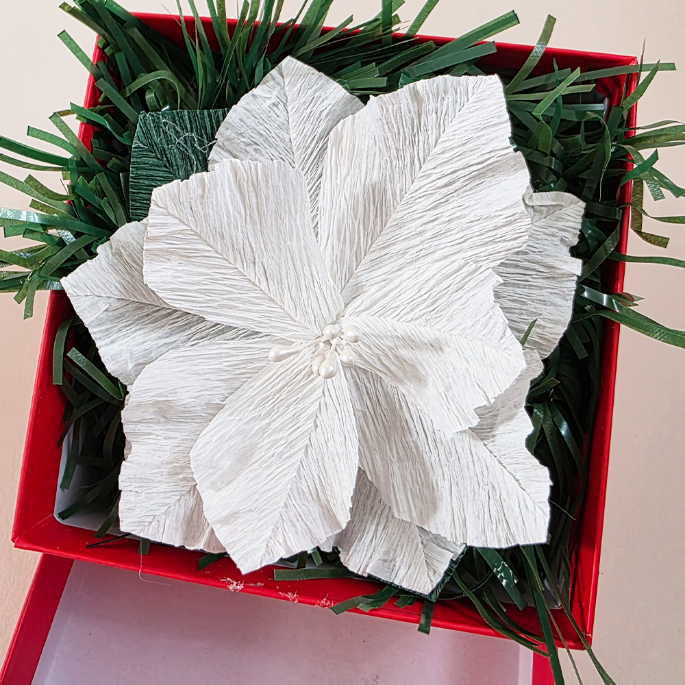 Merry &amp; Bright Mini Floral Gift Box – White Poinsettia