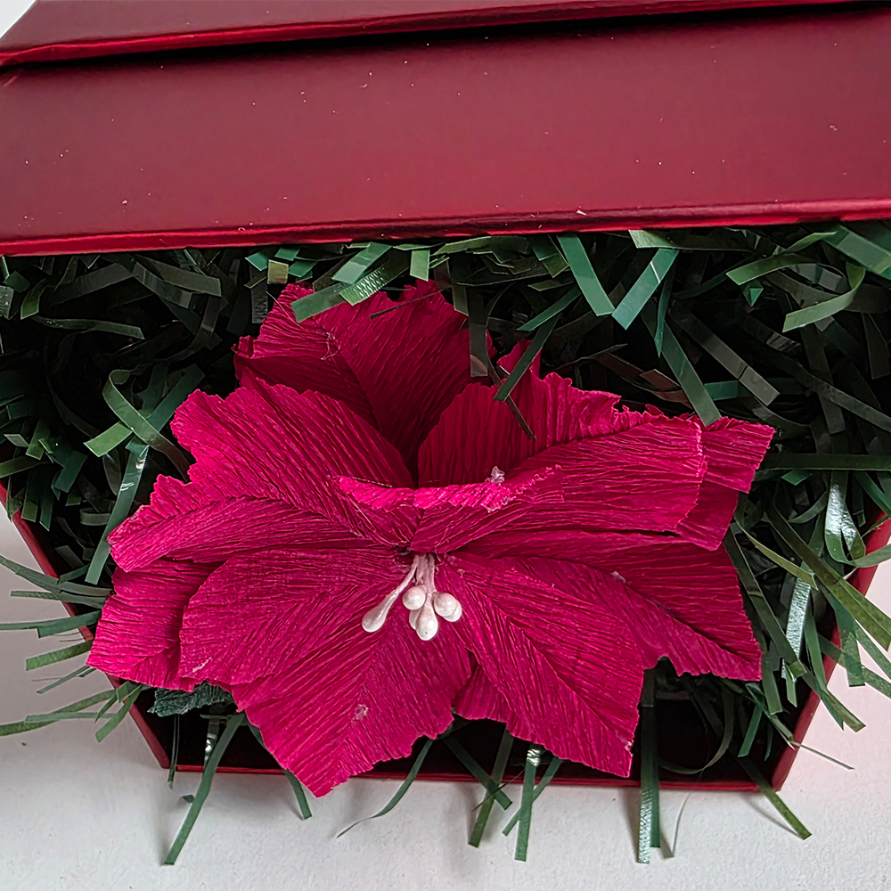 Red Poinsettia in Red Luxury Box — Handmade Christmas Gift