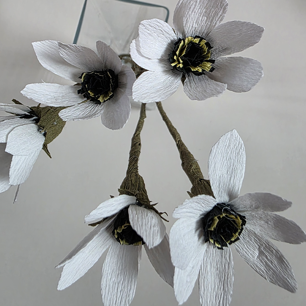 Anemone Crepe – Rustic Collection