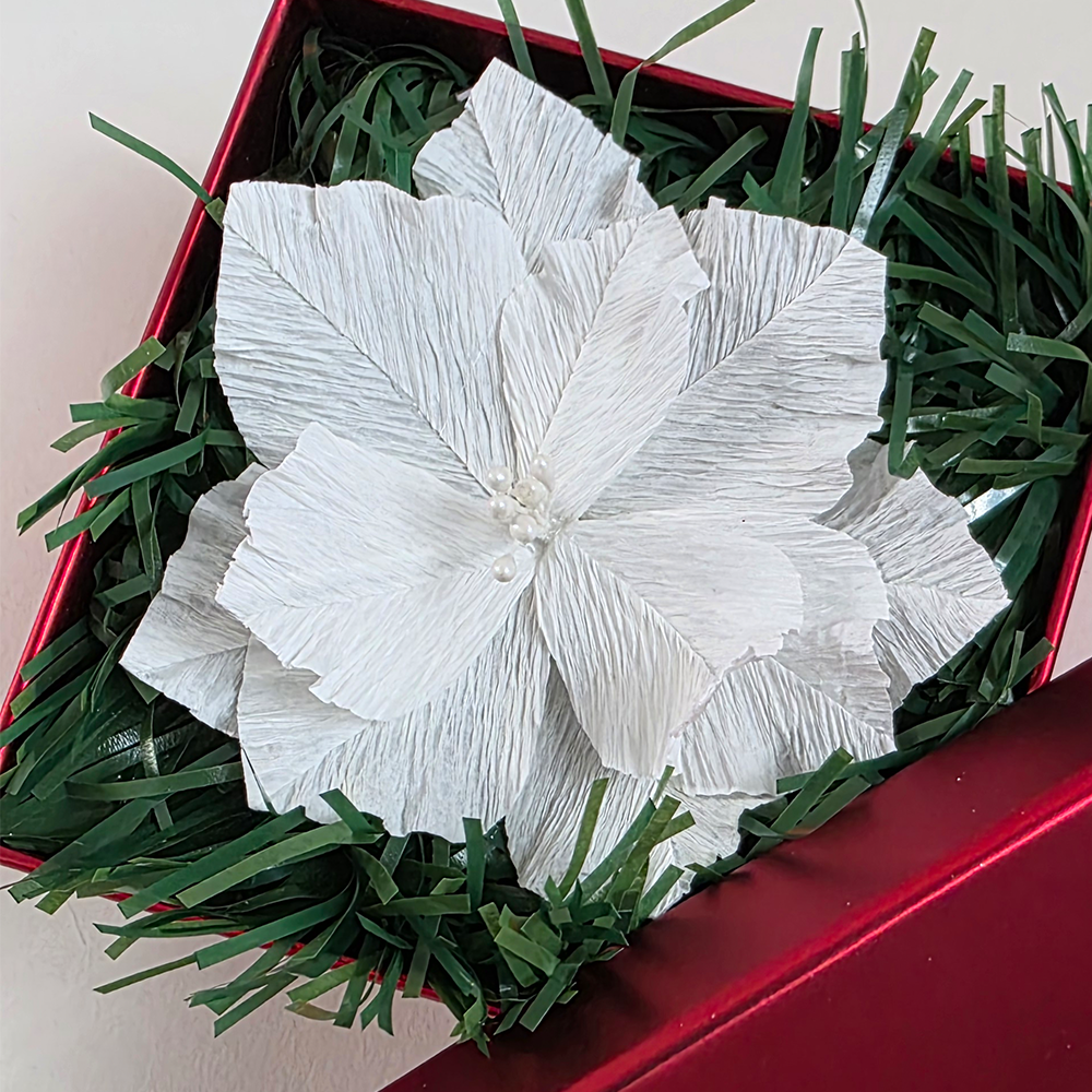 Christmas Poinsettia – Mini Gift Box Arrangement