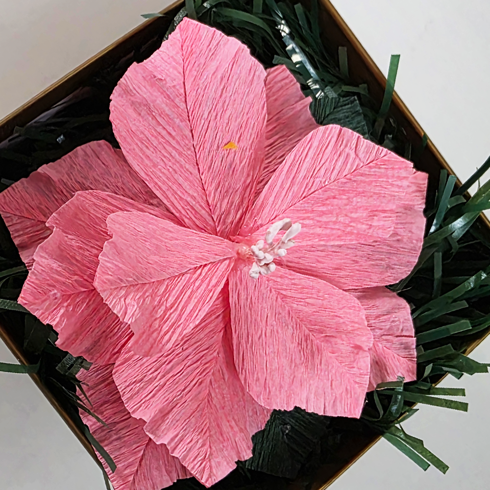 Soft Pink Christmas Poinsettia – Mini Gift Box Arrangement