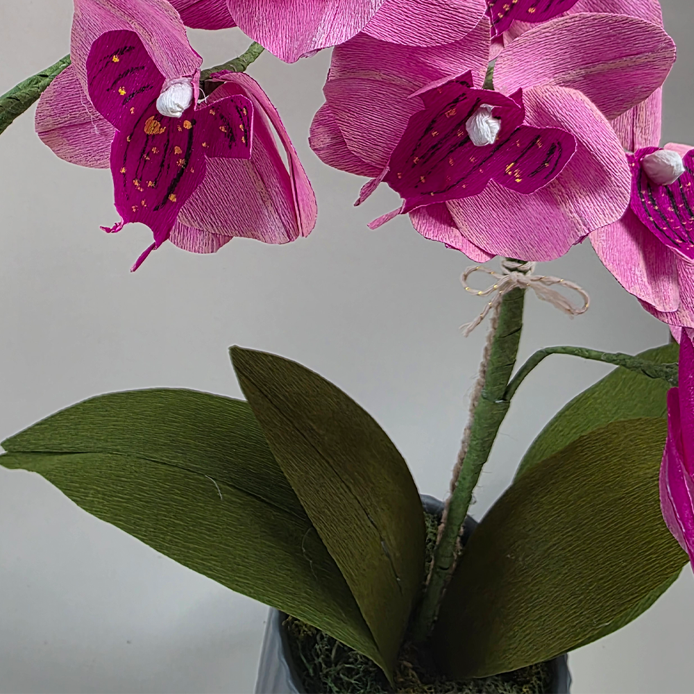 Pink Orchid in Ceramic Pot – Handmade Doublette Paper Flower