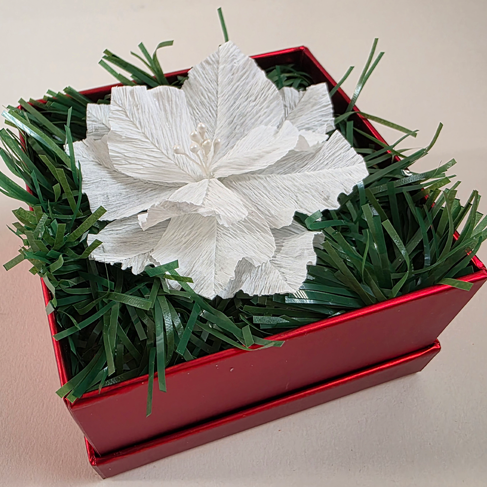 Christmas Poinsettia – Mini Gift Box Arrangement